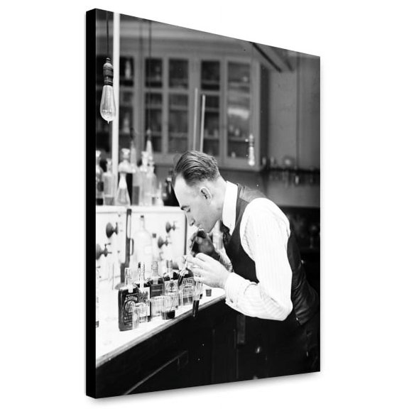 Canvas Print: Treasury, Internal Rev. Chemist G.F. Beyer, 1920