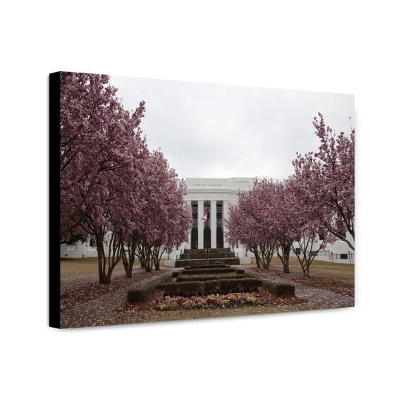 Canvas Print: Trees Bloom In The Spring Near Government Buildings In Montgomery
