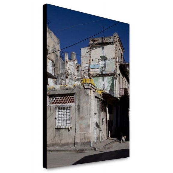 Canvas Print: Typical Small Neighborhood Street Showing Decay And Stray Dogs