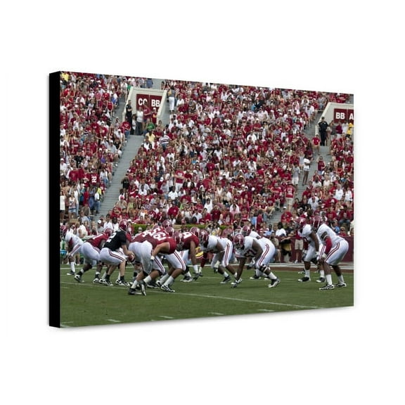 Canvas Print: University Of Alabama Football Game, Tuscaloosa, Alabama, 2010