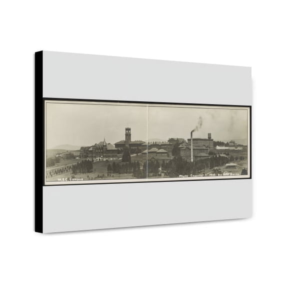 Canvas Print: W. South Carolina i.e., Washington State College Campus, 1910