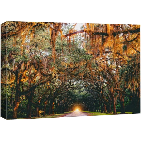 Canvas Print Wall Art Autumn Fall Orange Hanging Tree Canopy Nature Wilderness Photography Realism Earth Scenery Rustic Scenic Landscape Colorful for Living Room, Bedroom, Office - 12"x18"