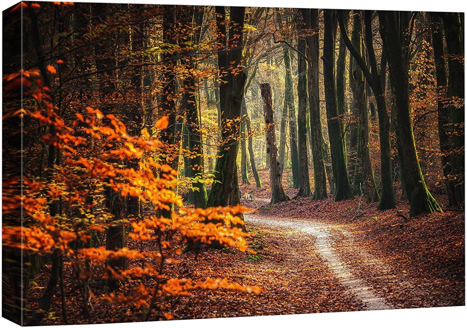 Canvas Print Wall Art Autumn Fall Orange Leaf Forest Tree Trail Nature ...