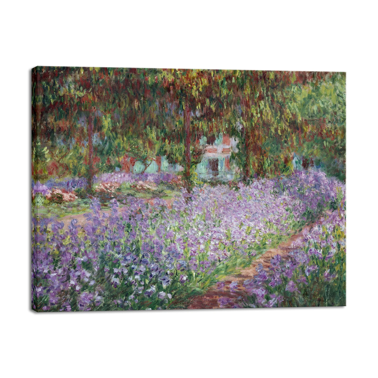 Canvas Print Wall Art Irises In Monet'S Garden,1900 By Claude Monet Art Print
