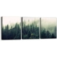 thumbnail image 1 of Canvas Print Wall Art Set Aerial View of Pine Trees in Mist Nature Wilderness Photography Realism Rustic Scenic Modern Artwork Decor Stretch and Framed Ready to Hang - 12"x16"x3 Panels, 1 of 6
