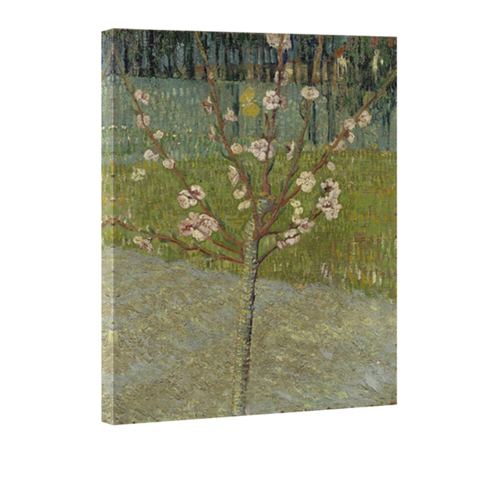 Canvas Print Wall Art Van Gogh Painting Repro Pic Home Decor Almond Tree Framed
