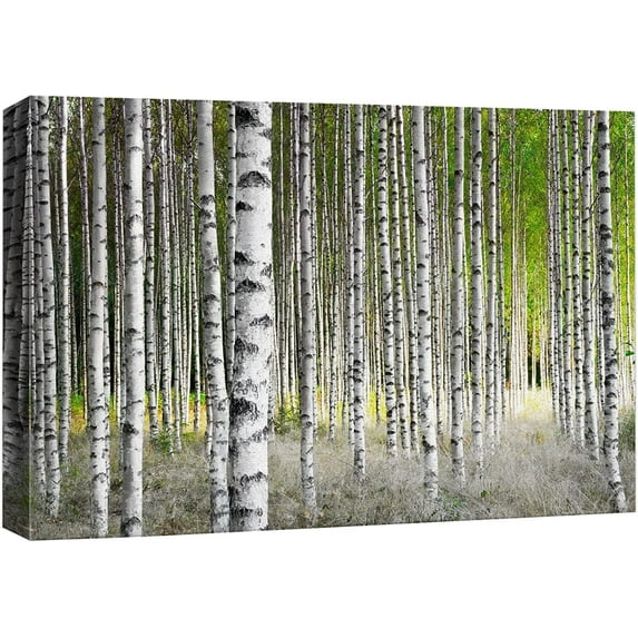 Canvas Print Wall Art White Birch Trees in Green Forest Nature Wilderness Photography Modern Art Rustic Scenic Colorful Multicolor for Living Room, Bedroom, Office - 12"x18"