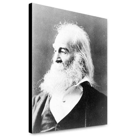 Canvas Print: Walt Whitman, Head-And-Shoulders Portrait, Facing Left, circa 1880