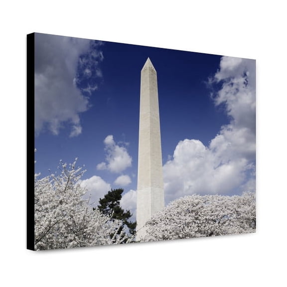 Canvas Print: Washington Monument And Cherry Trees, Washington, D.C., 2007