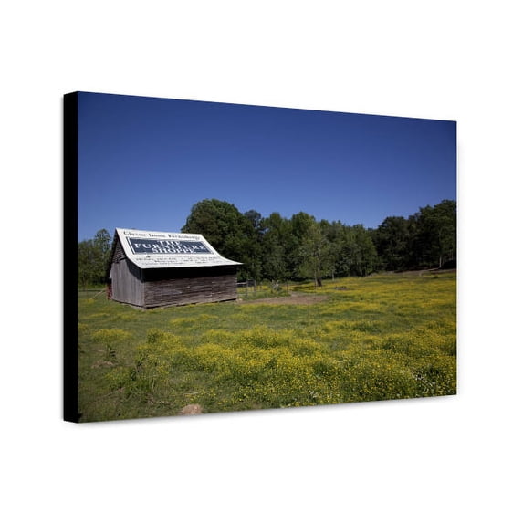 Canvas Print: Young Animals Are Everywhere In The Spring In Rural Alabama, 2010