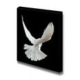 thumbnail image 1 of Canvas Prints Wall Art - A Free Flying White Dove Isolated on a Black Background - 16" x 16", 1 of 4