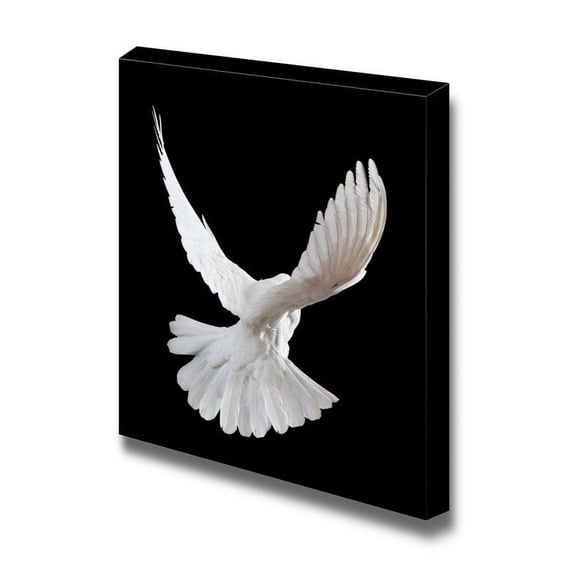 Canvas Prints Wall Art - A Free Flying White Dove Isolated on a Black Background - 16" x 16"