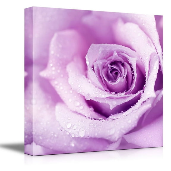 Canvas Prints Wall Art - Abstract Purple Wet Rose Beautiful Macro Flower with Morning Dew | Modern Wall Decor/Home Decoration Stretched Gallery Canvas Wrap Giclee Print & Ready to Hang - 24"