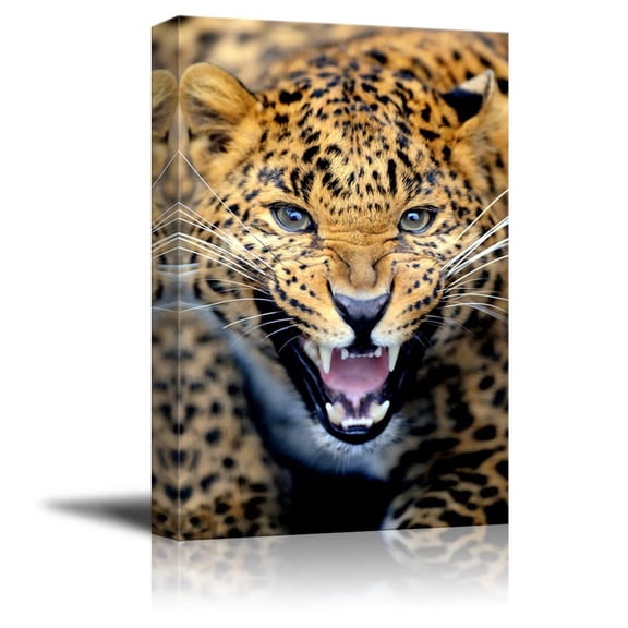 Canvas Prints Wall Art - Angry Leopard Wild Animal/Beast Photograph | Modern Wall Decor/Home Decoration Stretched Gallery Canvas Wrap Giclee Print &amp; Ready to Hang - 24" x 36"