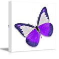 thumbnail image 1 of Canvas Prints Wall Art - Beautiful Flying Purple Butterfly on White Background | Modern Wall Decor/Home Decoration Stretched Gallery Canvas Wrap Giclee Print &amp; Ready to Hang - 12" x 12", 1 of 4