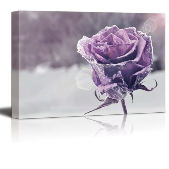 Canvas Prints Wall Art - Beautiful Purple Frozen Rose | Modern Wall Decor/Home Decoration Stretched Gallery Canvas Wrap Giclee Print &amp; Ready to Hang - 12" x 18"