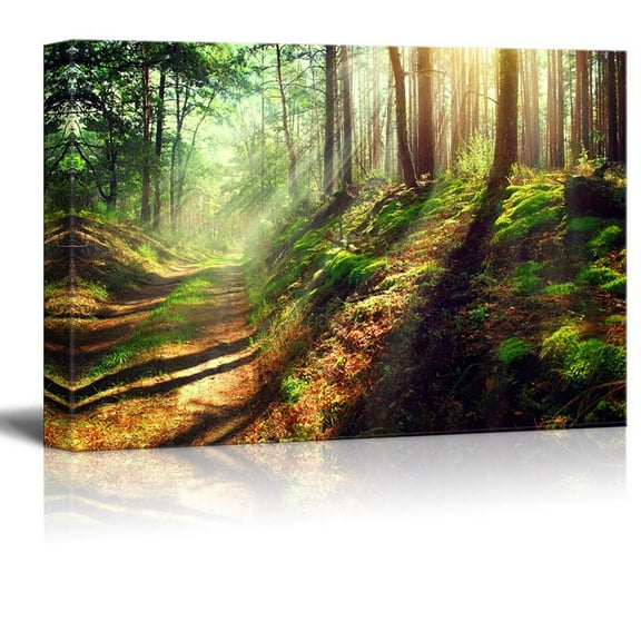 Canvas Prints Wall Art - Beautiful Scene of Misty Old Path in Forest on an Sunny Autumn Morning | Modern Wall Decor/Home Art Stretched Gallery Canvas Wraps Giclee Print & Ready to Hang - 16"