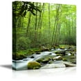 thumbnail image 1 of Canvas Prints Wall Art - Beautiful Scenery/Landscape Stream Going Through The Jungle | Modern Wall Decor/Home Decoration Stretched Gallery Canvas Wrap Giclee Print &amp; Ready to Hang - 24" x 24, 1 of 4