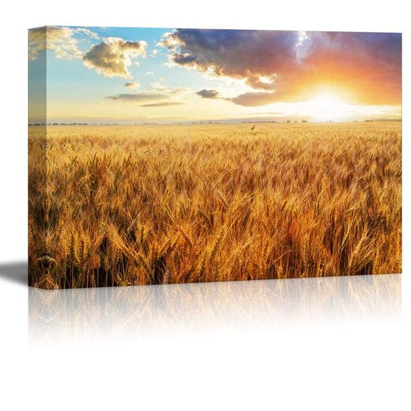 Canvas Prints Wall Art - Beautiful Scenery/Landscape Sunset Over Wheat Field | Modern Home Deoration/Wall Art Giclee Printing Wrapped Canvas Art Ready to Hang - 32" x 48"