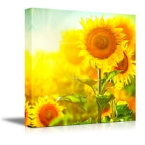 Canvas Prints Wall Art - Beautiful Sunflowers Blooming on The Field Growing Sunflower | Modern Wall Decor/Home Decoration Stretched Gallery Canvas Wrap Giclee Print & Ready to Hang - 16" x 1