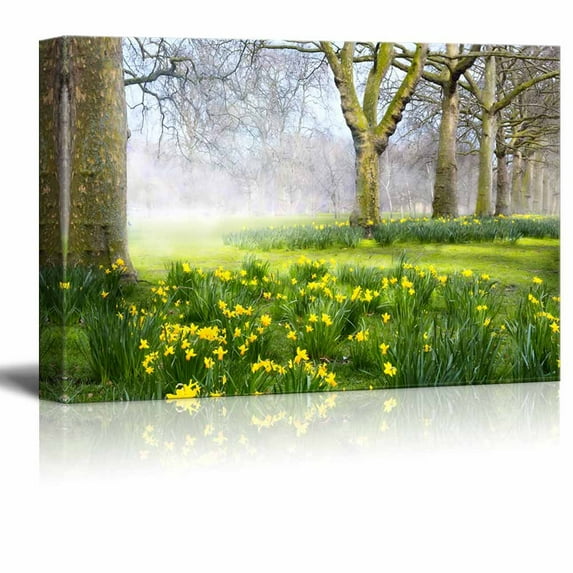 Canvas Prints Wall Art - Beautiful Trees and Green Grass in a Park in The Summer Morning | Modern Wall Decor/Home Art Stretched Gallery Canvas Wraps Giclee Print & Ready to Hang - 16" x 24&q
