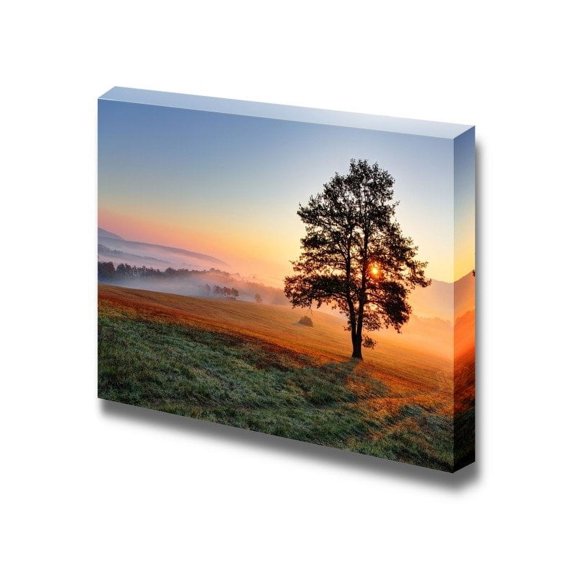 Canvas Prints Wall Art - Beautiful View/Scenery of a Tree on Meadow at Sunset | Modern Wall Decor/Home Decoration Stretched Gallery Canvas Wrap Giclee Print & Ready to Hang - 16" x 24"