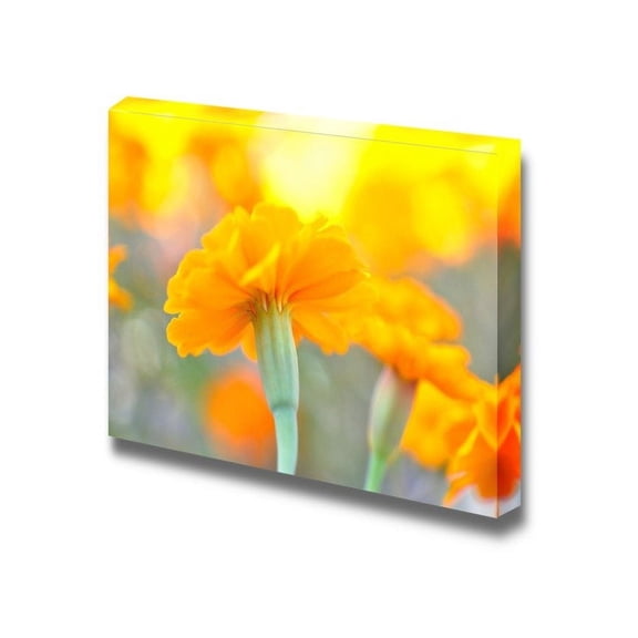 Canvas Prints Wall Art - Close Up of Beautiful Yellow Cosmos Flower | Modern Wall Decor/Home Decoration Stretched Gallery Canvas Wrap Giclee Print &amp; Ready to Hang - 24" x 36"