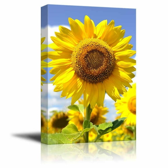 Canvas Prints Wall Art - Closeup of Big Sunflower under Blue Sunny Sky | Modern Wall Decor/Home Decoration Stretched Gallery Canvas Wrap Giclee Print & Ready to Hang - 12" x 18"
