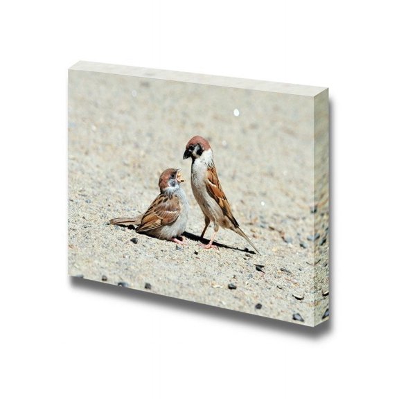 Canvas Prints Wall Art - Eurasian Tree Sparrow Pecks Sunflower Seeds Birds Playing | Modern Wall Decor/Home Decoration Stretched Gallery Canvas Wrap Giclee Print & Ready to Hang - 32" x 48&q