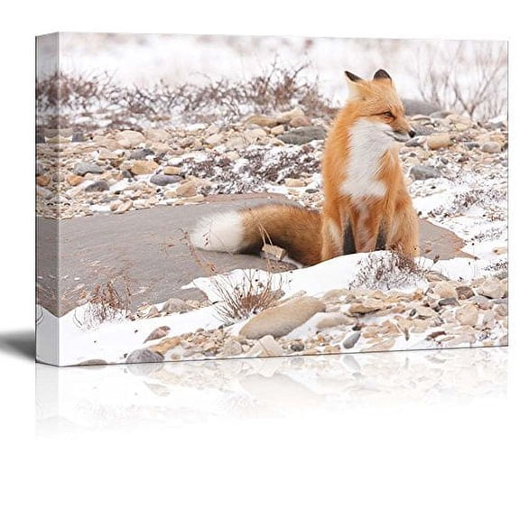 Canvas Prints Wall Art - Fox in The Wild | Modern Wall Decor/Home Decoration Stretched Gallery Canvas Wrap Giclee Print &amp; Ready to Hang - 16" x 24"