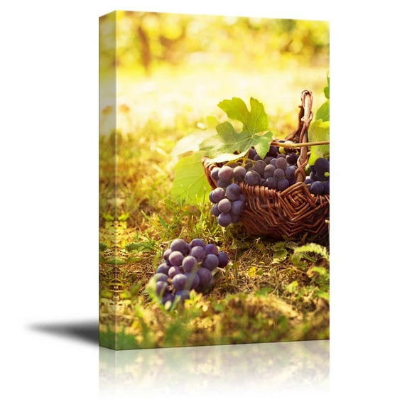 Canvas Prints Wall Art - Grapes Harvest in Vineyard with Basket of Grapes in Autumn | Modern Wall Decor/Home Decoration Stretched Gallery Canvas Wrap Giclee Print & Ready to Hang - 48" x 32&