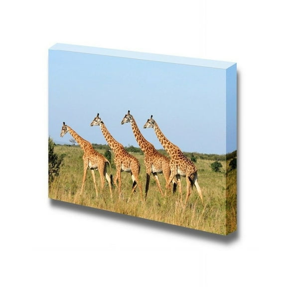 Canvas Prints Wall Art - Group of Giraffes Walking on African Savannah | Modern Wall Decor/Home Art Stretched Gallery Wraps Giclee Print &amp; Wood Framed. Ready to Hang - 24" x 36"