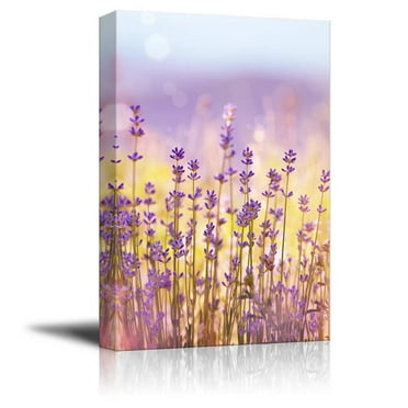 Canvas Prints Wall Art - Lavender Flowers Bloom in Summer Time | Modern Wall Decor/Home Decoration Stretched Gallery Canvas Wrap Giclee Print &amp; Ready to Hang - 36&quot; x 24&quot;