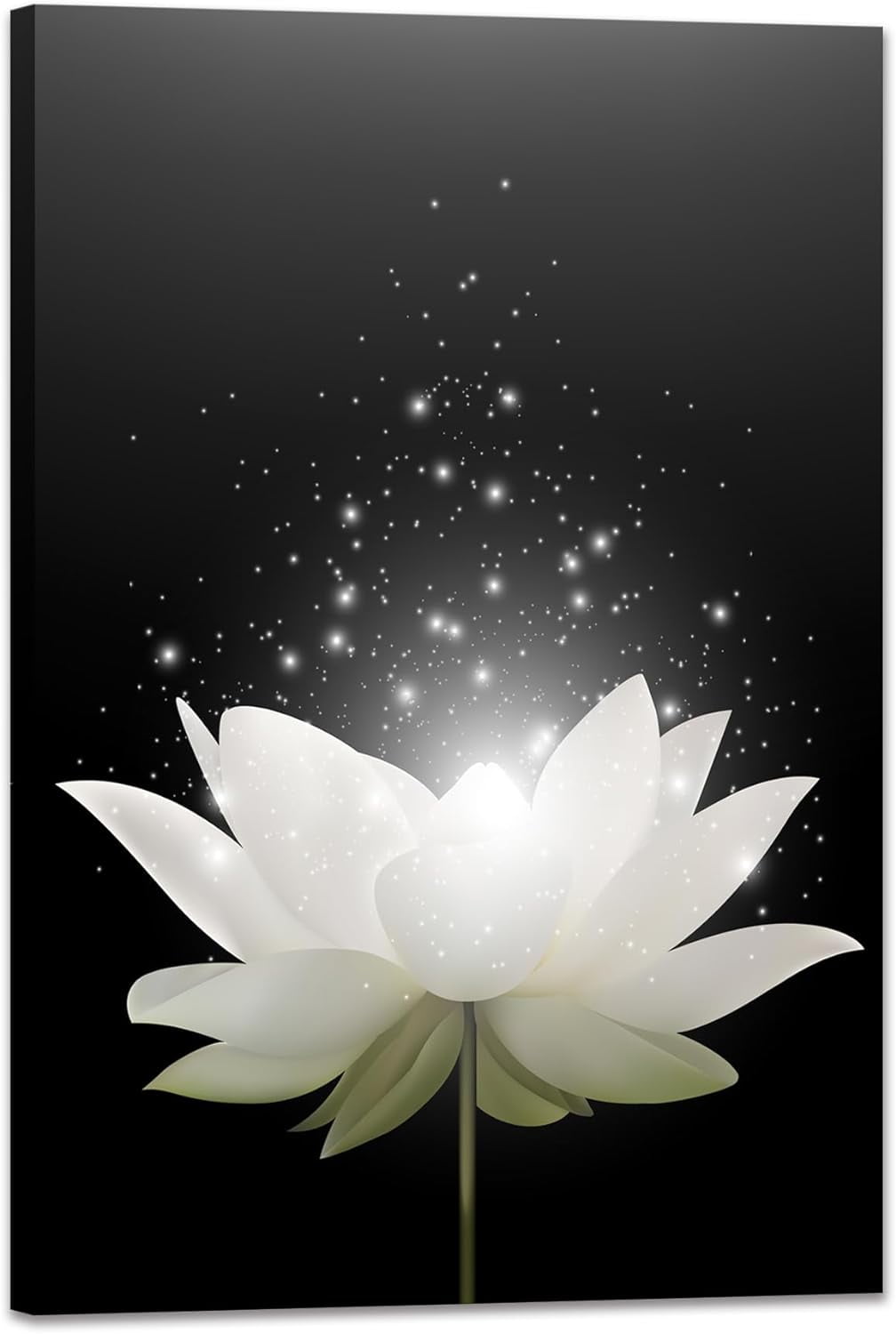 Canvas Prints Wall Art Lotus Flower Pictures Bathroom Decor Zen Painting Spa  Photo Artwork Framed for Spiritual Meditation Yoga Room Ready to Hang 12 x  16inch 