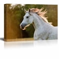 thumbnail image 1 of Canvas Prints Wall Art - Running White Arabian Horse | Modern Wall Decor/Home Art Stretched Gallery Wraps Giclee Print &amp; Wood Framed. Ready to Hang - 12" x 18", 1 of 4
