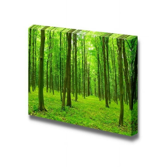 Canvas Prints Wall Art - Trees in a Green Forest in Spring | Modern Wall Decor/Home Decoration Stretched Gallery Canvas Wrap Giclee Print & Ready to Hang - 24" x 36"