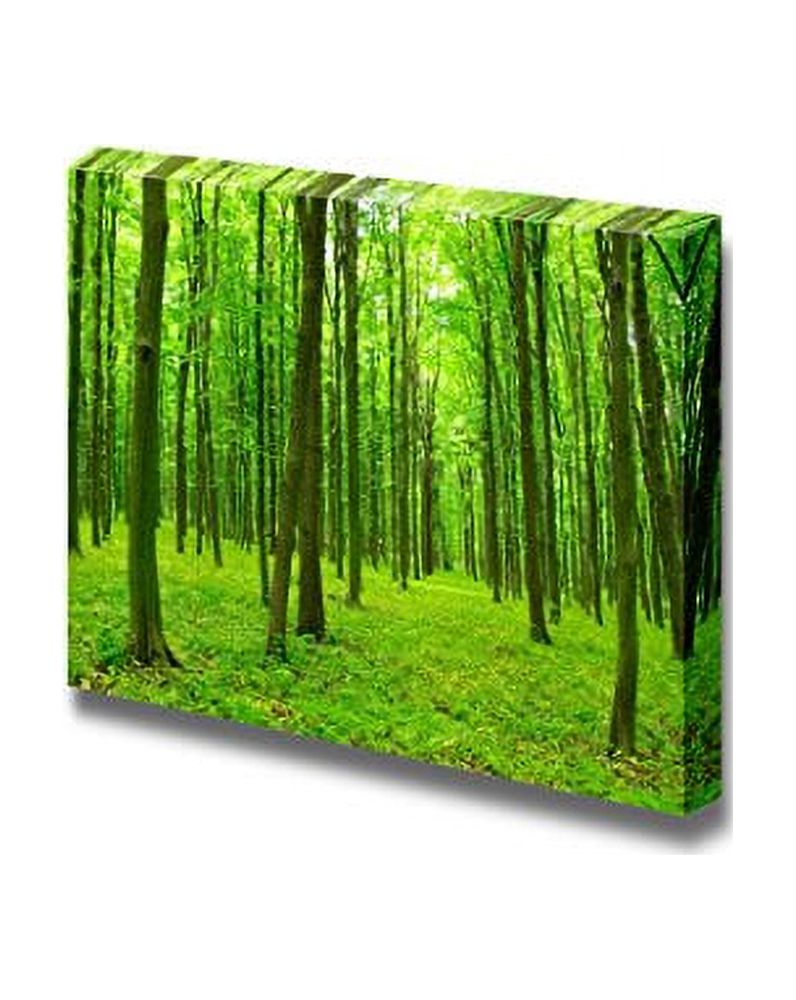 Canvas Prints Wall Art Trees in a Green Forest in Spring Modern