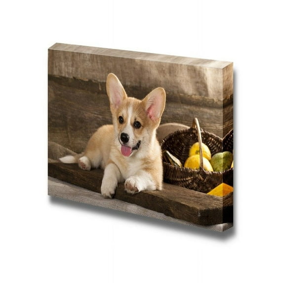 Canvas Prints Wall Art - Welsh Corgi Dog Breed - 32" x 48"