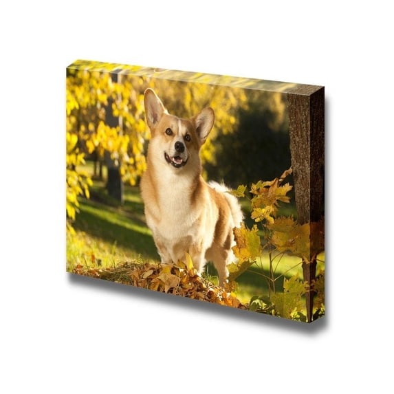 Canvas Prints Wall Art - Welsh Corgi Pembroke Dog - 24" x 36"