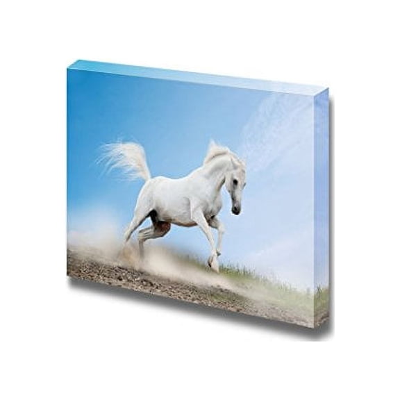 Canvas Prints Wall Art - White Arabian Horse Running/Galloping | Modern Wall Decor/Home Art Stretched Gallery Canvas Wraps Giclee Print & Ready to Hang - 16" x 24"
