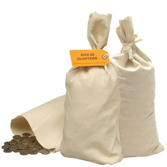 Canvas Shipping Transit Currency Money Valuables Coin Bags 9W x 17-1/2H Case 100