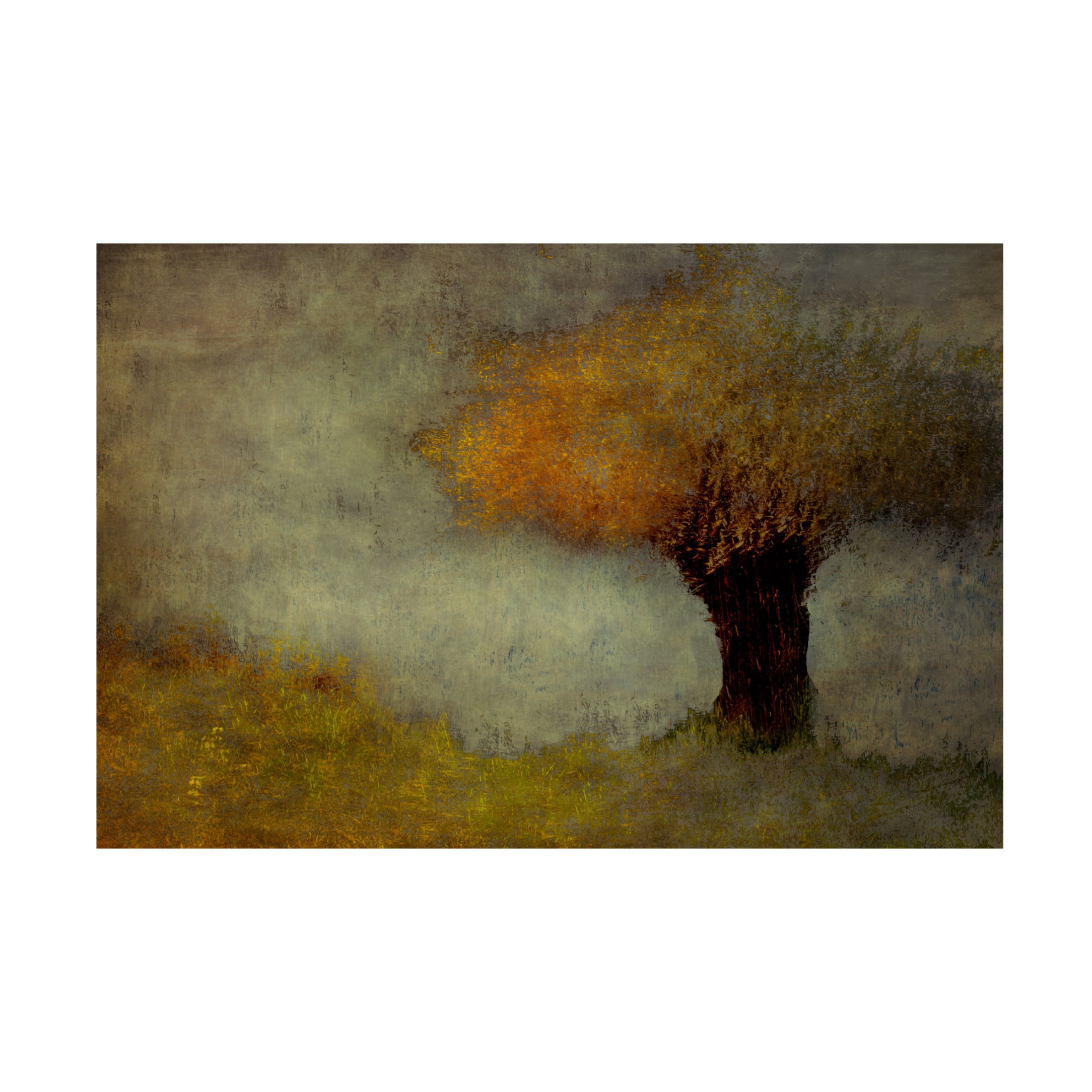 Canvas Wall Art - Adam Dauria 'Willow' Wall Art for Living Room, Bedroom, or Office Décor by Trademark Fine Art - 19 x 12 Inches