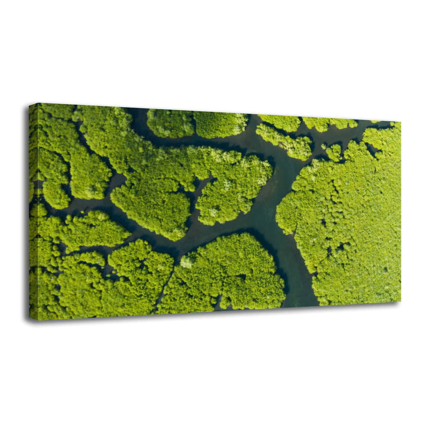 Canvas Wall Art Aerial view Mangrove forest river Wall Decor for Living ... - View Of River Wall Decor For Apartment
