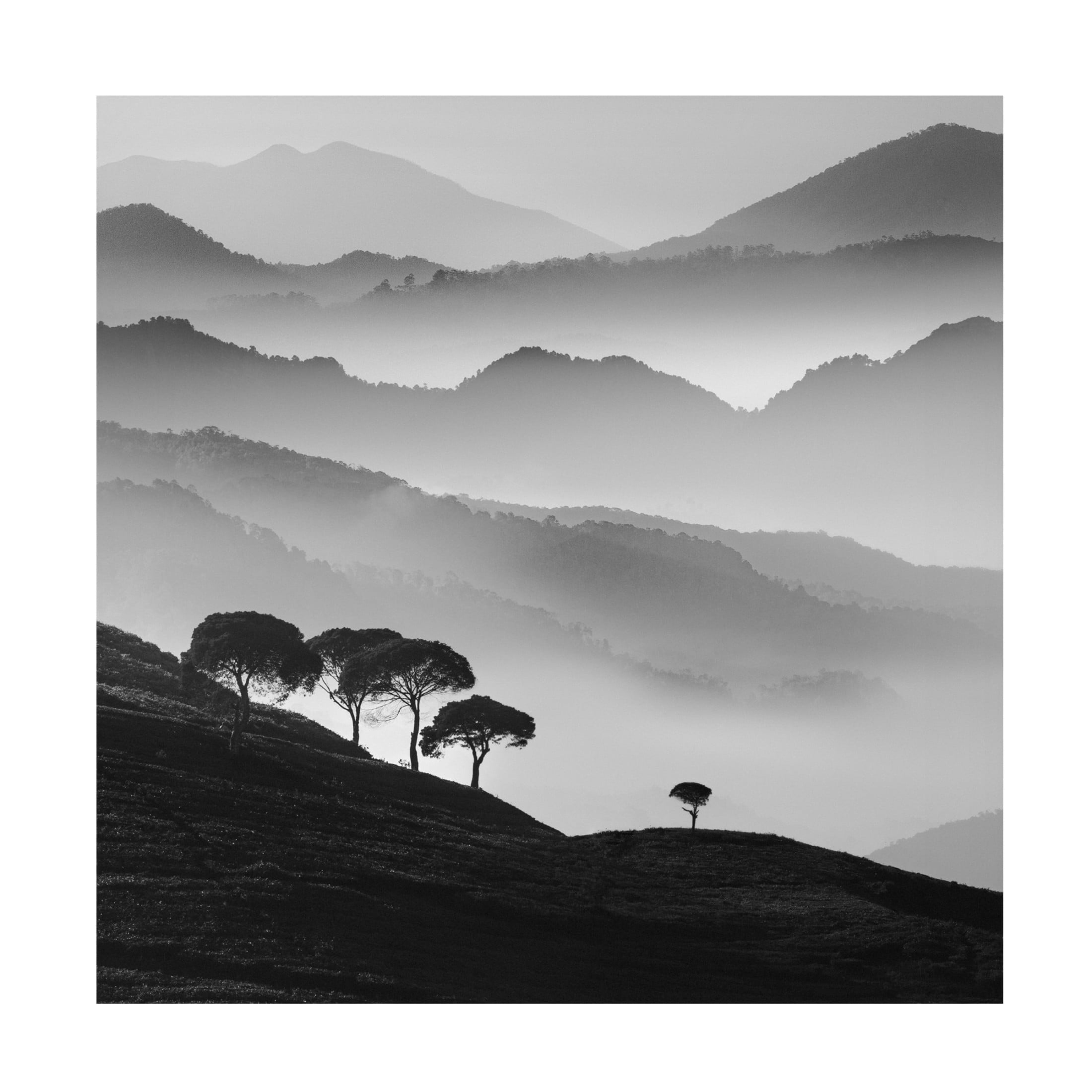 Canvas Wall Art - Ajie Alrasyid 'Cukul' Wall Art for Living Room, Bedroom, or Office D?cor by Trademark Fine Art - 24 x 24 Inches