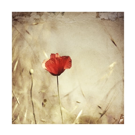 Canvas Wall Art - Ala Pneuma 'Alone' Wall Art for Living Room, Bedroom, or Office Décor by Trademark Fine Art - 14 x 14 Inches