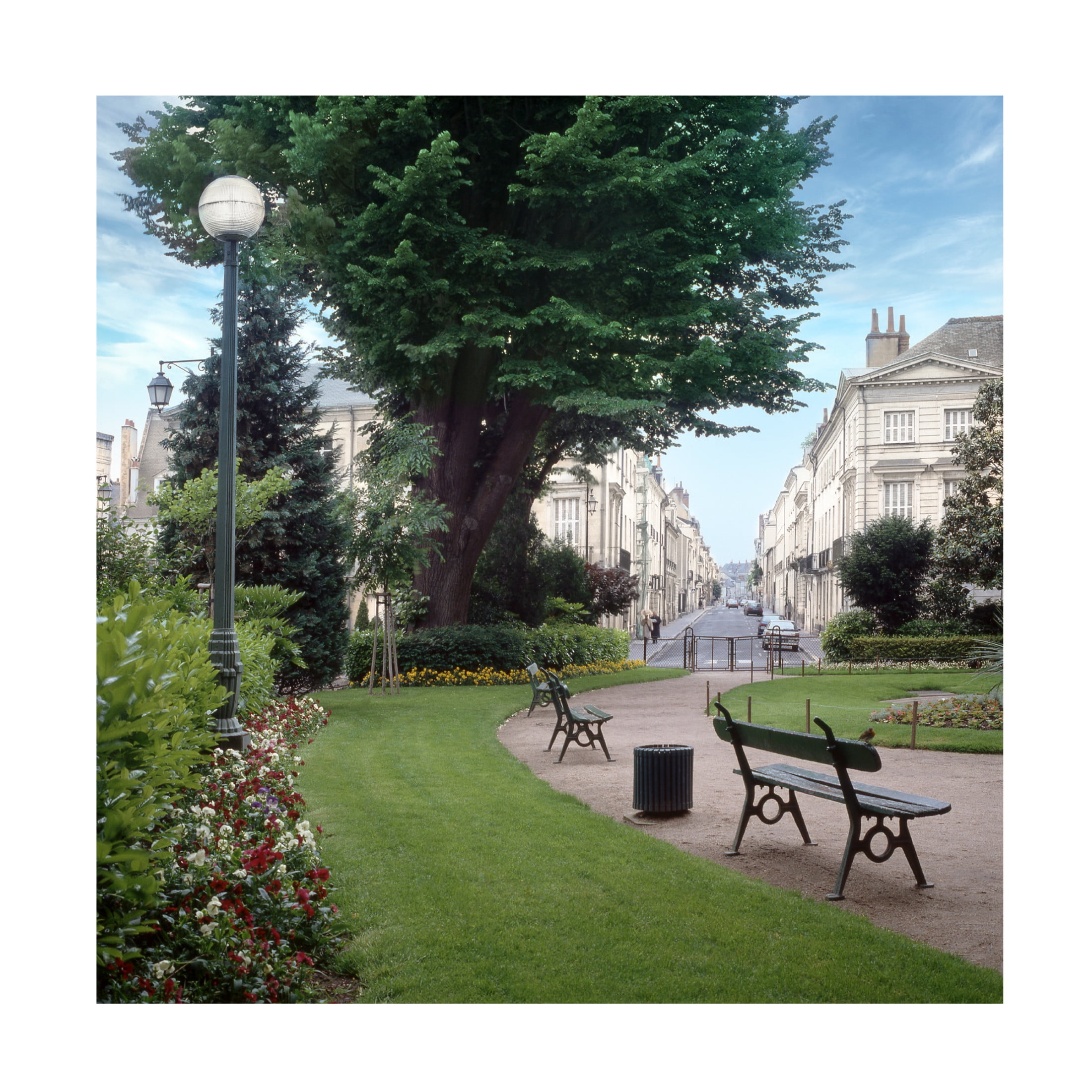 Canvas Wall Art - Alan Blaustein 'French Jardin No. 14' Wall Art for Living Room, Bedroom, or Office Décor by Trademark Fine Art - 18 x 18 Inches