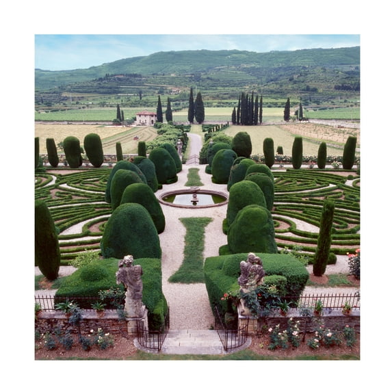 Canvas Wall Art - Alan Blaustein 'Italia Gardens No. 12' Wall Art for Living Room, Bedroom, or Office Décor by Trademark Fine Art - 24 x 24 Inches