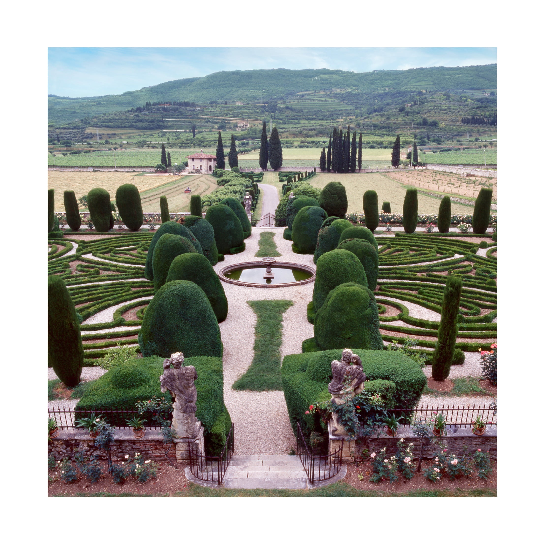 Canvas Wall Art - Alan Blaustein 'Italia Gardens No. 12' Wall Art for Living Room, Bedroom, or Office Décor by Trademark Fine Art - 35 x 35 Inches