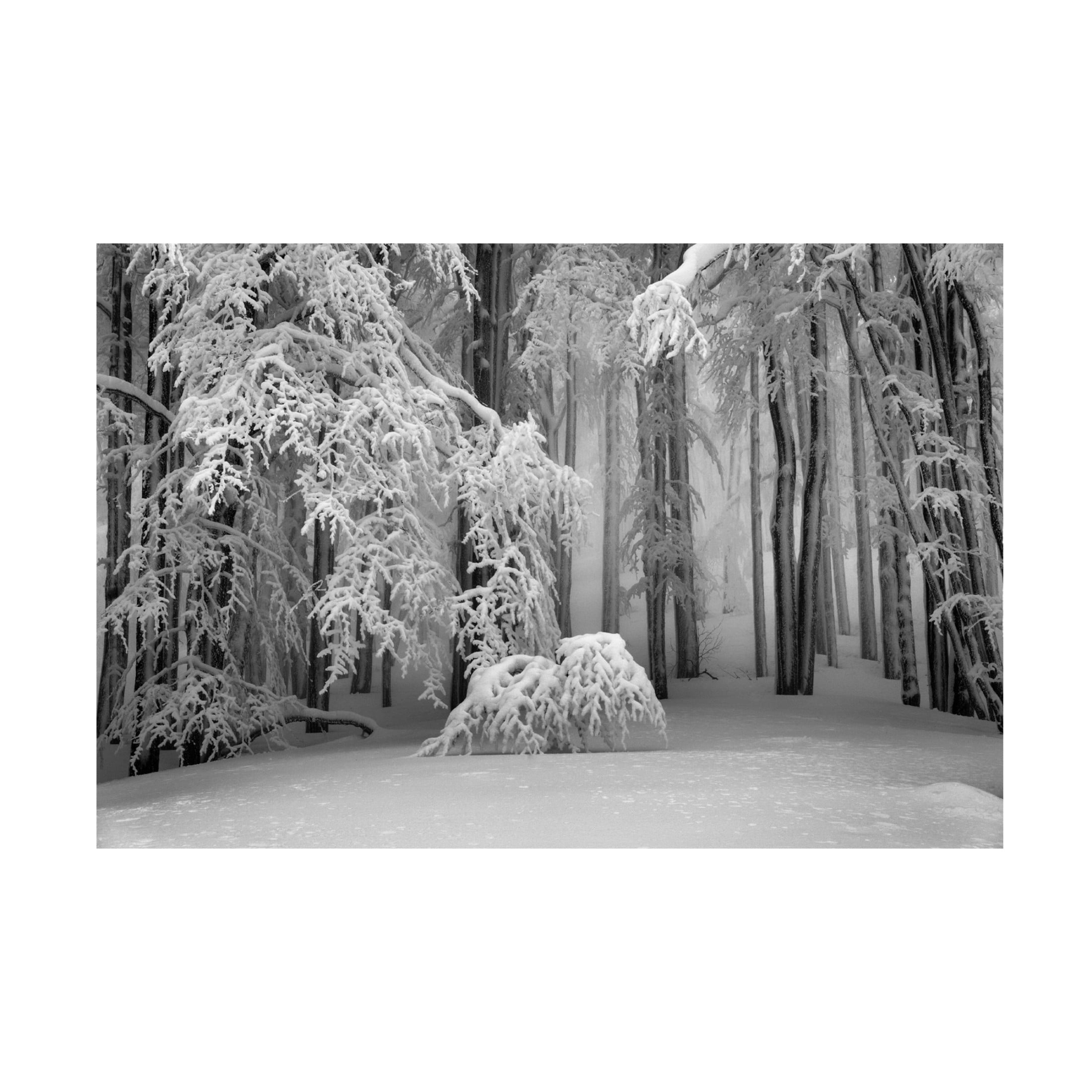 Canvas Wall Art - Ales Klabus 'Perfect Winter' Wall Art for Living Room, Bedroom, or Office Décor by Trademark Fine Art - 24 x 16 Inches