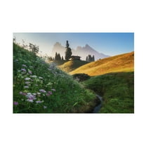 Canvas Wall Art - Ales Krivec 'Flowery Morning' Wall Art for Living Room, Bedroom, or Office Décor by Trademark Fine Art - 24 x 16 Inches